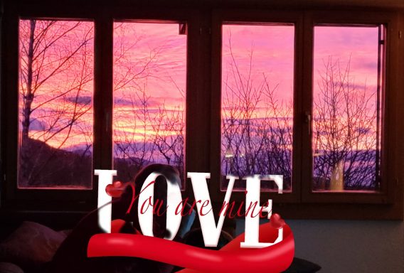 Zuhause ist wo Du bist (DF)