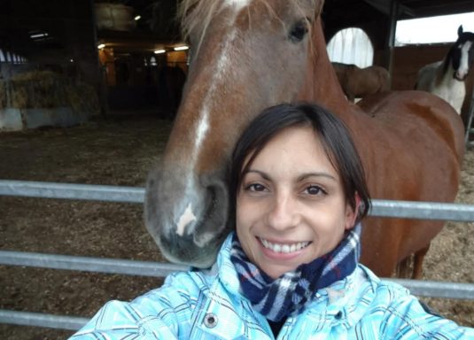 wie die Pferde kamen