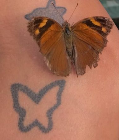 Zufälle sind WUNDER